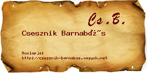 Csesznik Barnabás névjegykártya