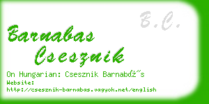 barnabas csesznik business card